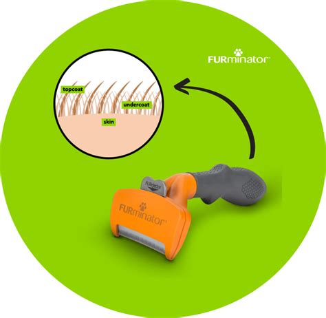 FURminator Australia Official Website – Provides Grooming Confidence