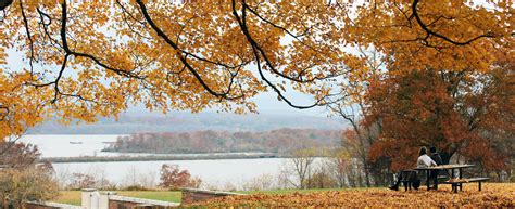 bard office  financial aid