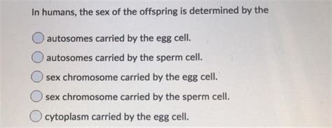 Solved In Humans The Sex Of The Offspring Is Determined By Chegg