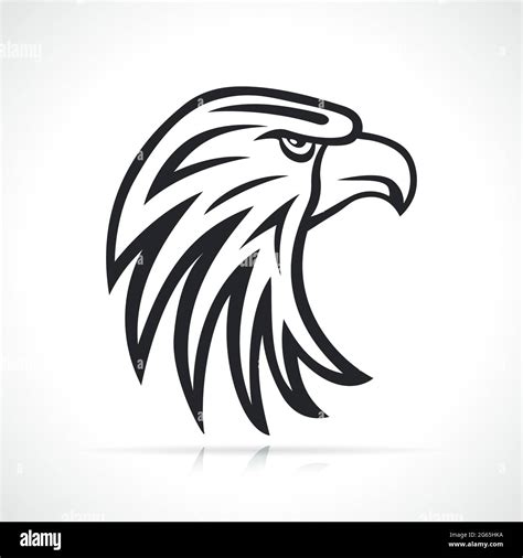 Eagle Head Pencil Drawing Easy