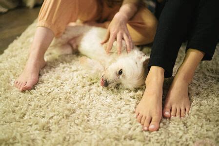 Vivienne Law Leaked Nude Photos And Videos