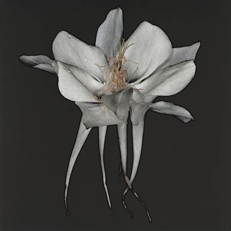 The Secret Life Of Plants on Behance