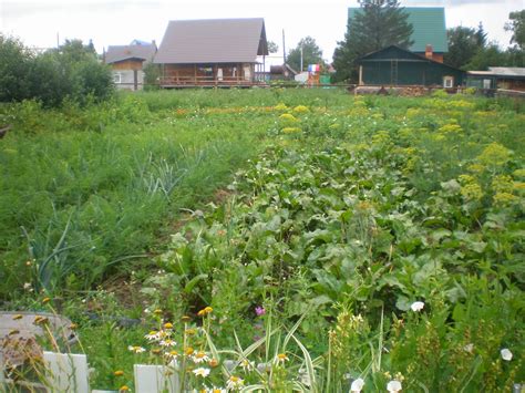 Как хранить навоз на участке правильно: способы