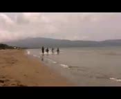 Fiammetta Cicogna Nude Pics Videos Sex Tape