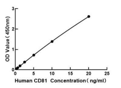 CD81: ELISA Kits