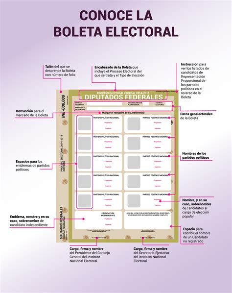 Ejemplo De Boleta Electoral Seana Courtney