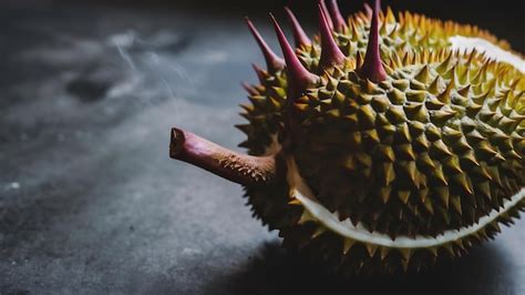 Premium Photo Fresh Durian Fruit On The Dark Surface