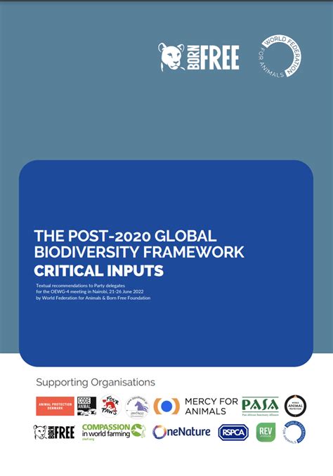 The Post-2020 Global Biodiversity Framework: Critical Inputs – World ...