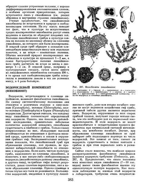Фикобионты лишайников