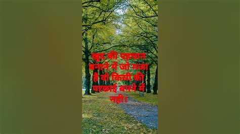 khud ki pahchan banane  jo maja hai kisi ki parchhai banne  nhi