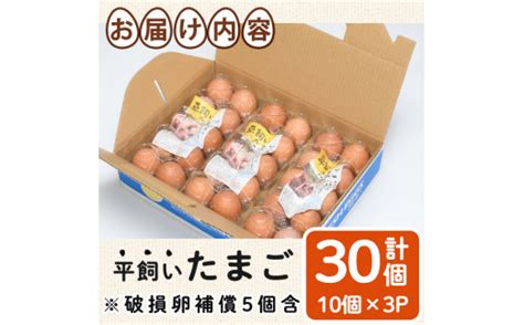 ＜数量限定＞香川県産 平飼いたまご 計30個・10個×3パック 国産 たまご 卵 鶏卵 産地直送 ビタミン【man120】【翔洋舎