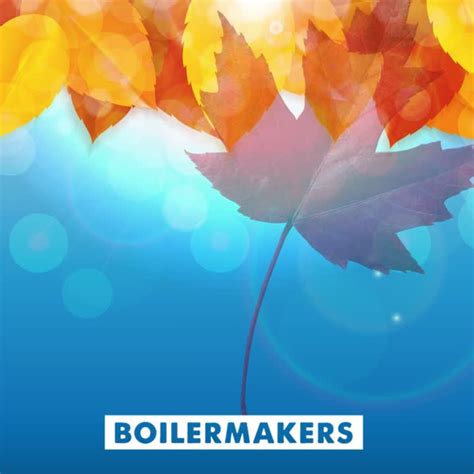 International Brotherhood Of Boilermakers On Linkedin Boilermaker