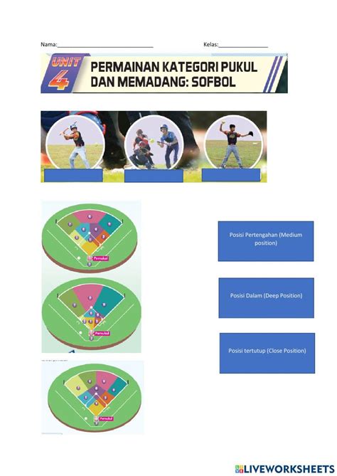 Sofball Worksheet Live Worksheets