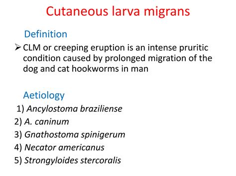 Ascariasis PPT