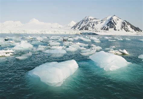 Floating Ice | Planet Arctic