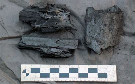 Review Of Papa S Hardwood Lump Charcoal Naked Whiz Ceramic Charcoal Cooking