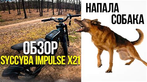 Обзор syccyba impulse x21 2.0 электровелосипед / напала собака / сициба ...
