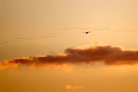 Free Images Horizon Wing Cloud Sky Sun Sunrise Sunset Sunlight