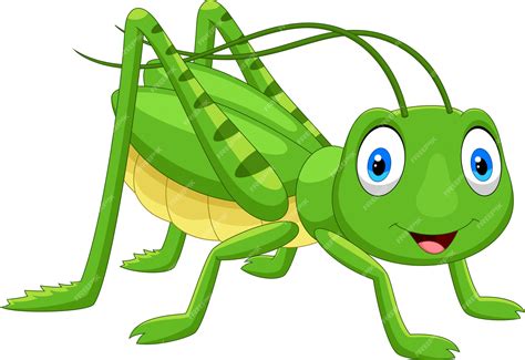 Grasshopper Clip Art