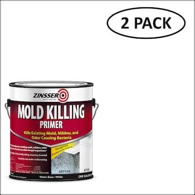 Mold Killing Paint at Lowes.com