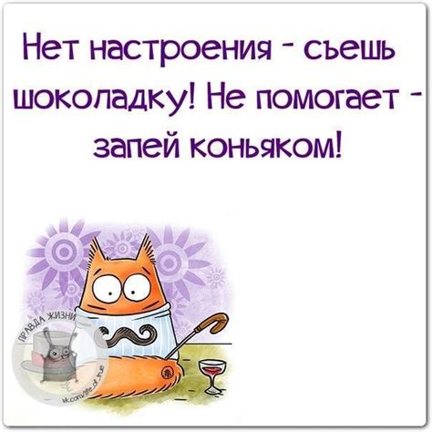 Диалоги | Позитивні цитати, Смішні цитати, Ранкові цитати