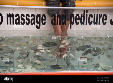 Fish Provide Foot Massages In Siem Reap Cambodia Stock Photo Alamy