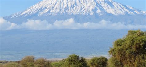 Is Mount Kilimanjaro The Tallest Mountain In The World Or Just Africa