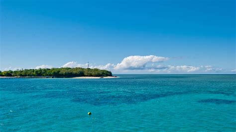Download Queensland Wallpaper