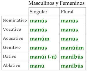 Declinación 4 Ejemplo Latina