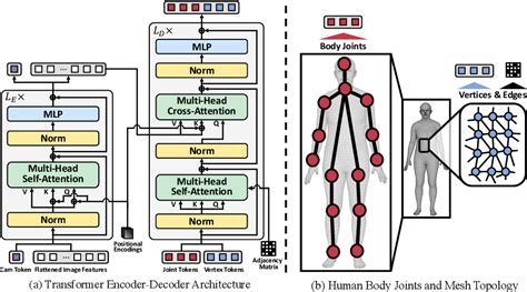 Figure 2 From Cross Attention Of Disentangled Modalities For 3d Human