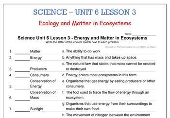 Science Unit Lesson Energy And Matter In Ecosystems Tpt