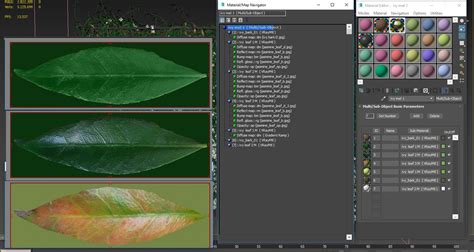 Jasmine Ivy Plant 3d Turbosquid 1401843