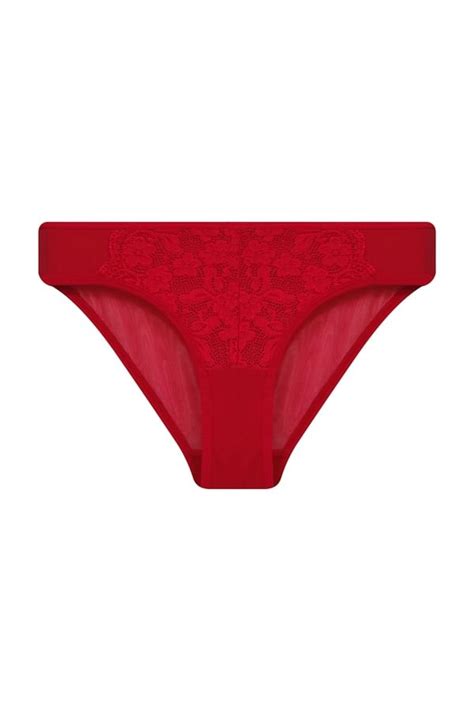 Buy Low Waist Bikini Panty In Red With Powernet Panels Lace Online India Best Prices Cod