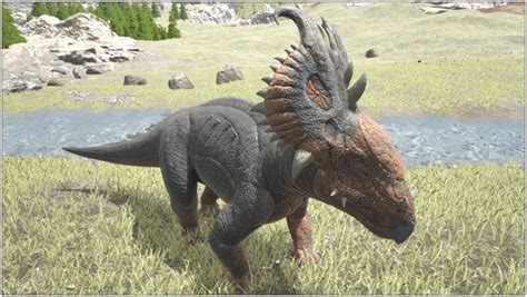 Ark Pachyrhinosaurus Abilities Controls Taming Food Saddle