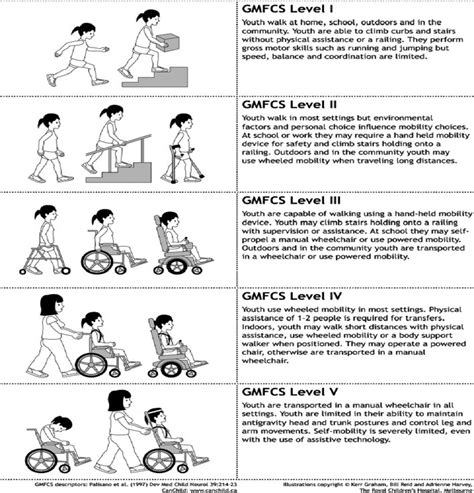 Gmfcs Eandr A Five Level Classification For Cerebral Maha 55 Off