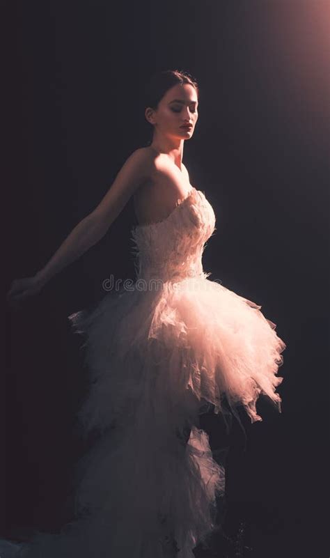 Gorgeous Brunette Model Ballerina Girl With Beautiful Hairstyle And Make Up Stock Image Image