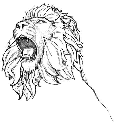 Angry Lion Sketch at PaintingValley.com | Explore collection of Angry ...