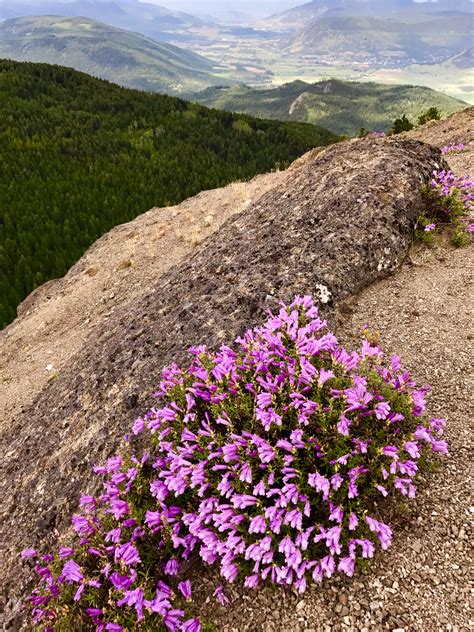 Elevation of Mountain View Ave, Lumby, BC V0E, Canada - Topographic Map