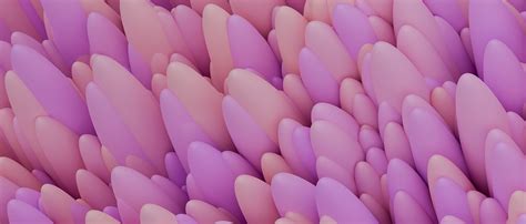 Amazon Anal Plug Flapping Vibrator Male Sex Toys In App Remote Control Anal Toys With