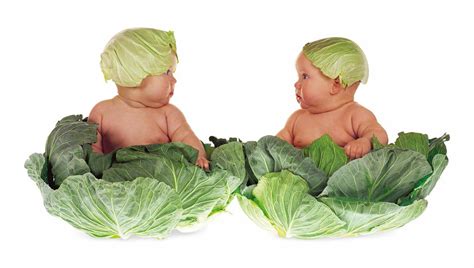 Anne Geddes Interview Studio Baby Photography