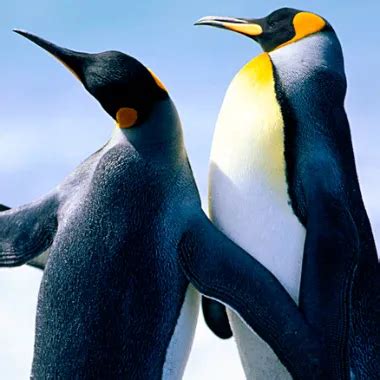 Fick Ohne Ende Episode Free Indian Porn Xhamster