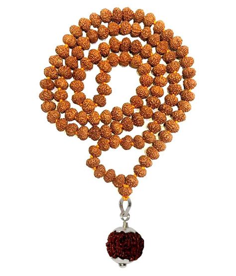 Nepali Panch Mukhi Rudraksha Mala With 2 Mukhi Rudraksha Pendant For