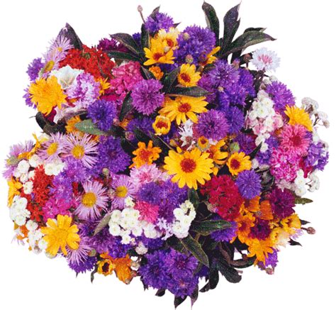 Музыкальные открытки. Картинки, музыка, поздравления, цветы, песни.