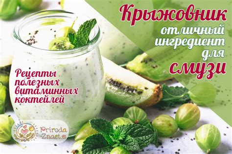 Смузи из крыжовника – несколько идей для завтрака!