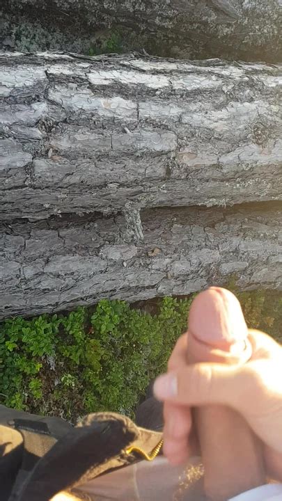 Outdoor Public Jerk Off Norwegian Gay Twink Twink Porn XHamster