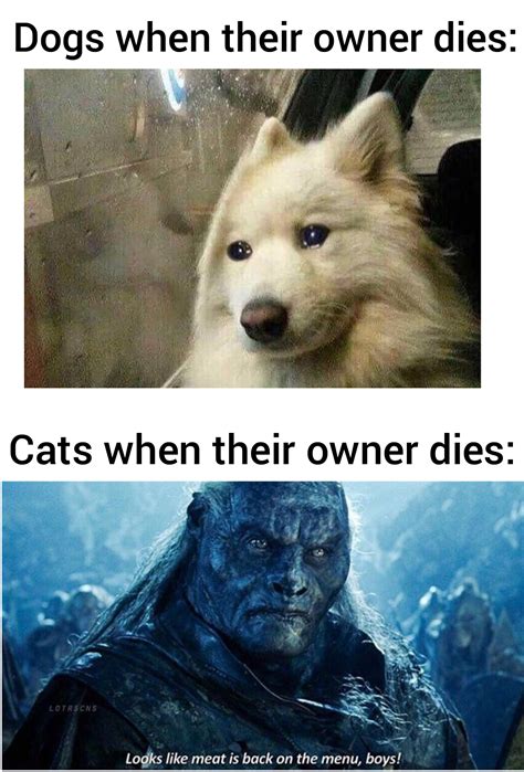 Joke Puppy Memes I Has A Hotdog - Super - Funny Dog Pictures | Dog Memes | Puppy