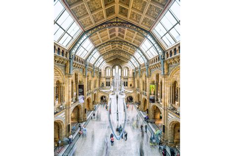 Natural History Museum Adam Butler Photography