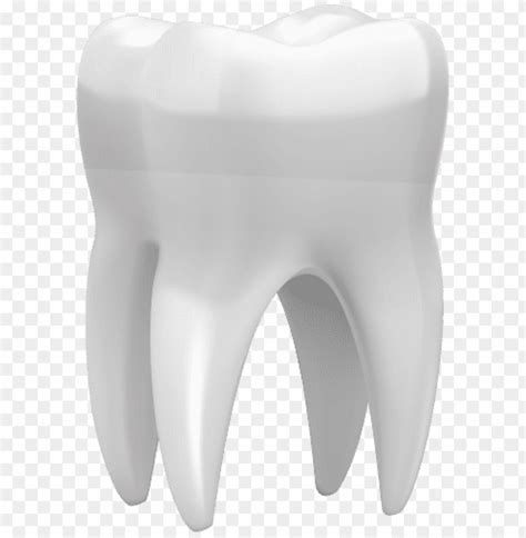 Free Download Hd Png Tooth Png Png Transparent With Clear Background