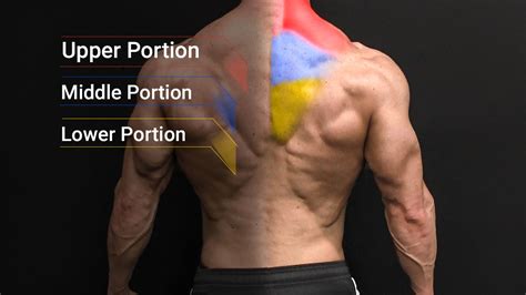 How to Get Bigger Traps | ATHLEAN-X