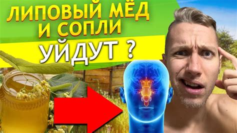 ЛИПОВЫЙ МЕД САМЫЙ ЦЕННЫЙ ? Полезные свойства липового меда и почему это ...